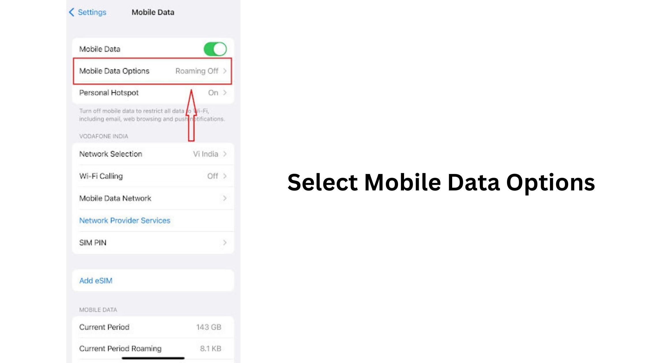 click on Mobile Data Options