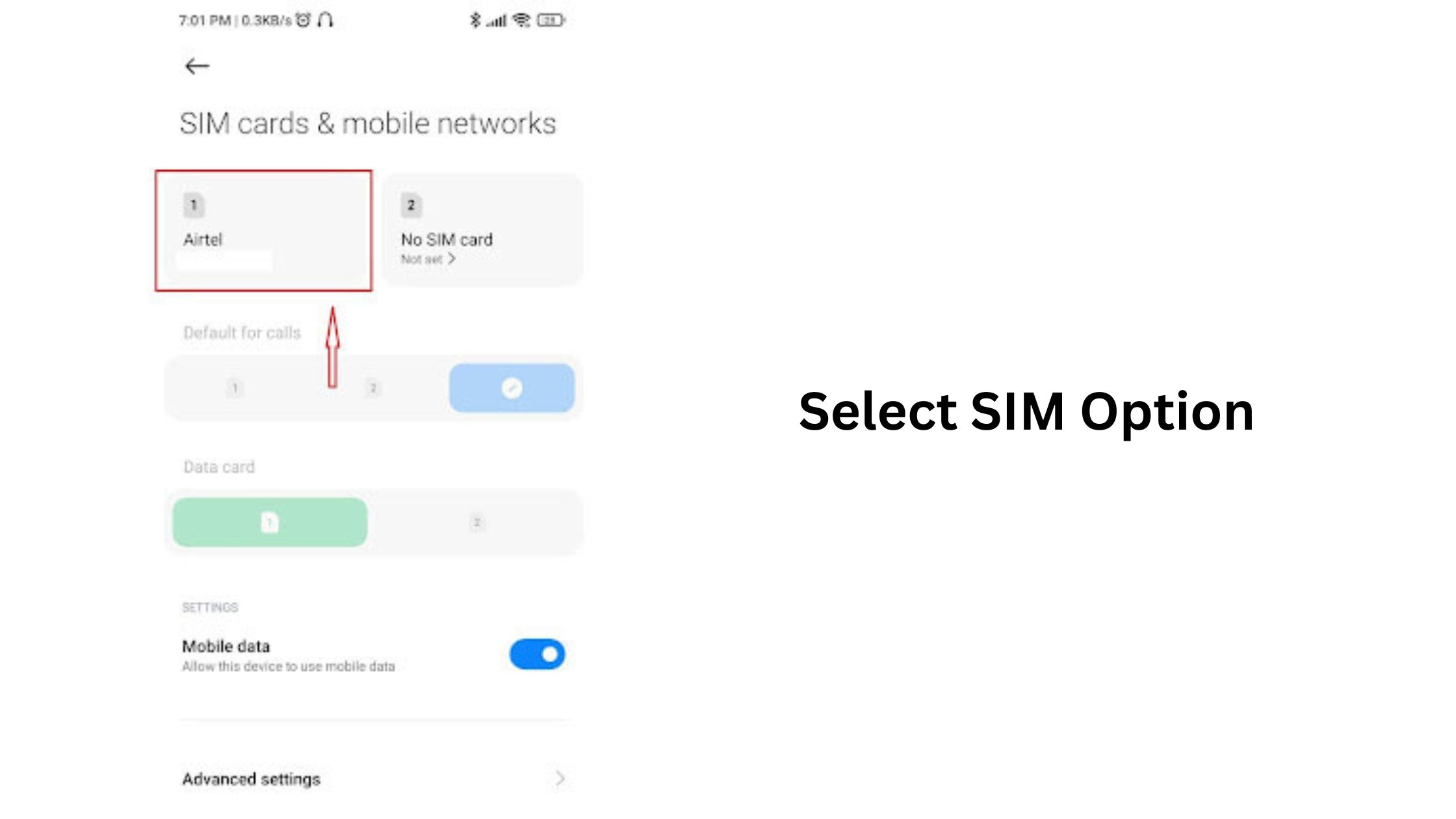select SIM option