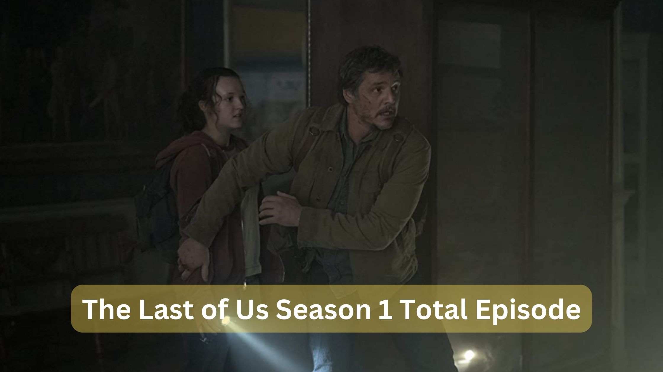 The Last of Us Season 1 Total Episode
