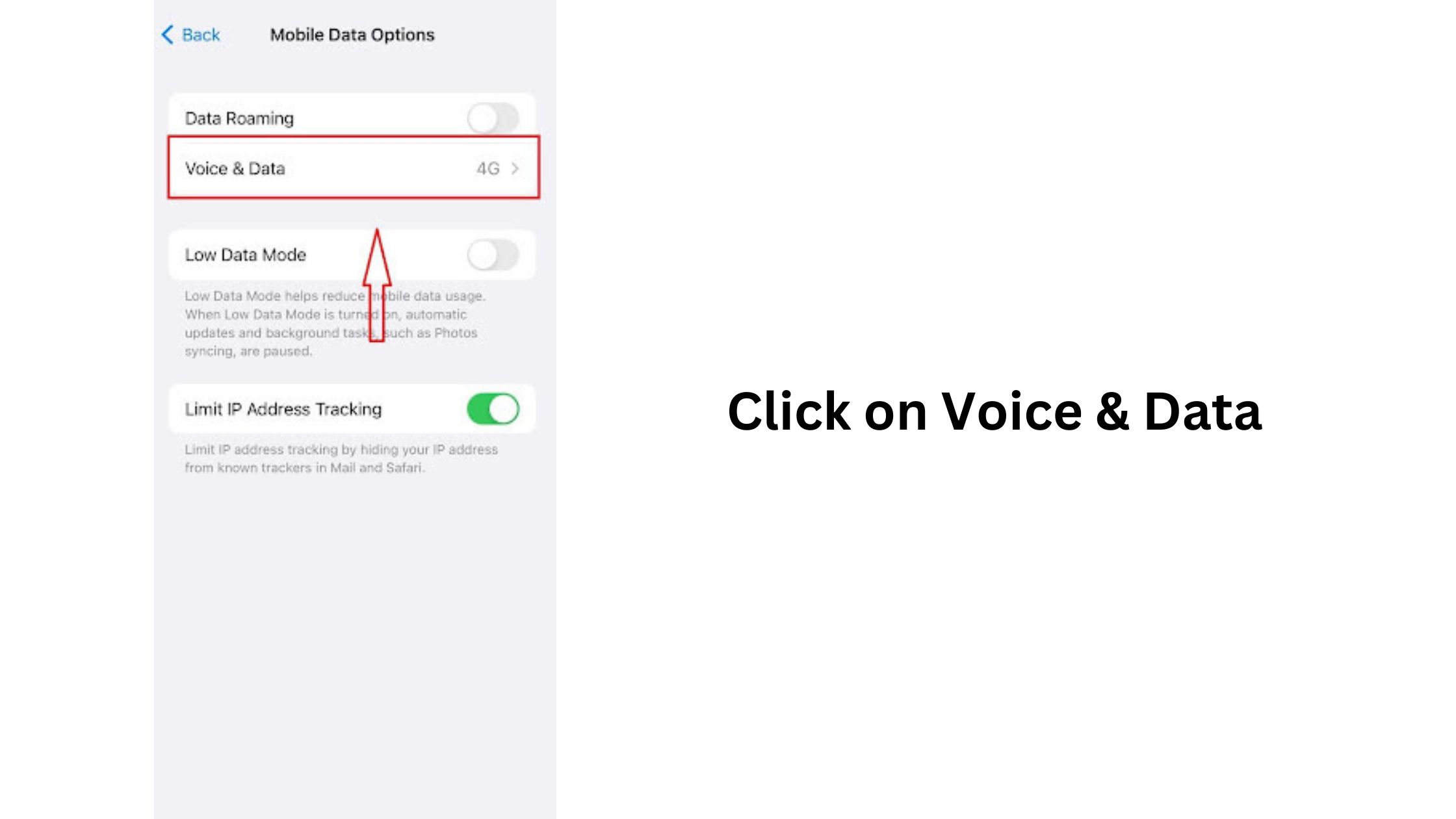 now tap on Voice & Data